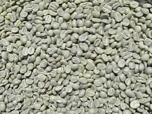 Green coffee beans